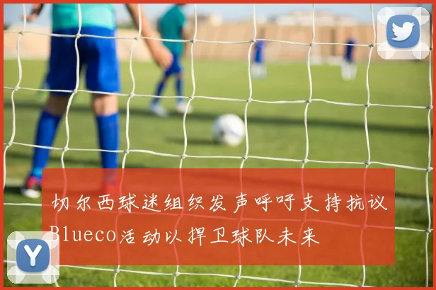 切尔西球迷组织发声呼吁支持抗议Blueco活动以捍卫球队未来